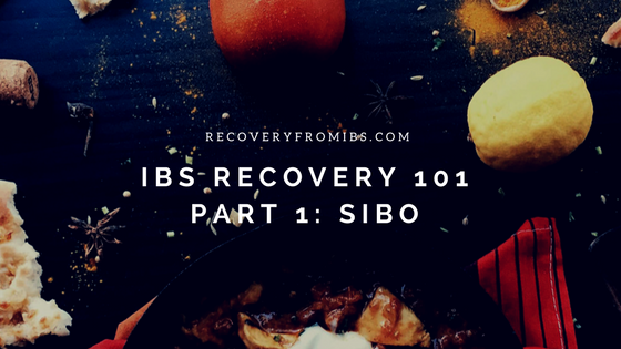 IBS Recovery 101 - SIBO