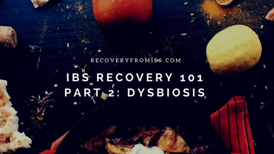 IBS Recovery 101 – Part 2: Dysbiosis