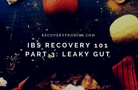 IBS Recovery 101 – Part 3: Leaky Gut