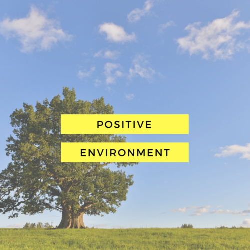 Positive Environment